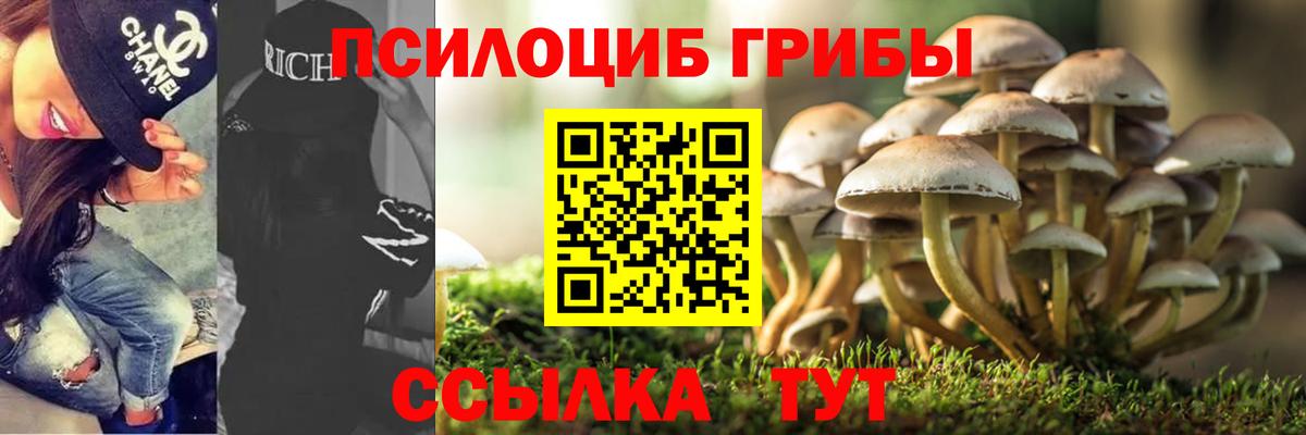 Крымск  Псилоцибиновые грибы мицелий  Вход с VPN  Галлюциногенные грибы Psilocybine cubensis 